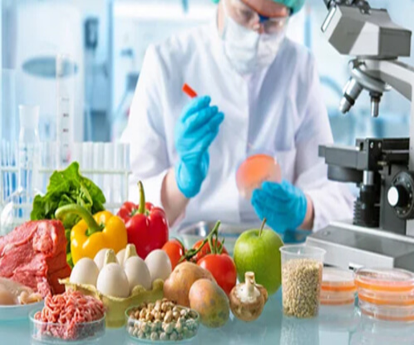 Food Testing